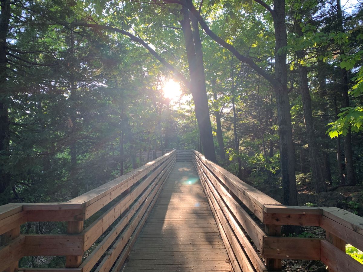 Paysage sentier en bois dans la forêt avec au bout un soleil lumineux, se préparer à ce qui vient Saint-Germain