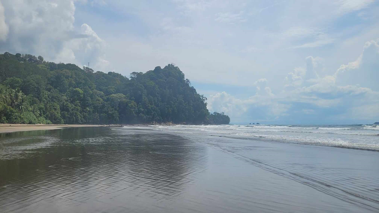 Plage d’Hawaï bordée de forêt tropicale, ouverte sur une vaste immensité océanique, évoquant le calme, l’abondance naturelle et un sentiment de prospérité.